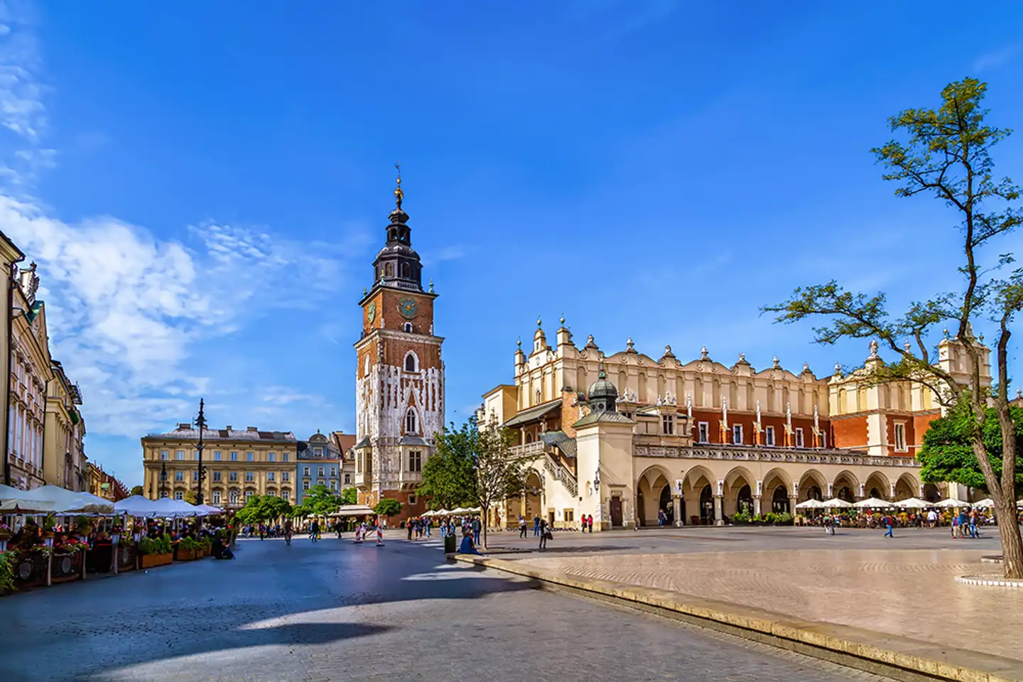 Cracoviá Kraków’un Kesinleşmiş Şampiyonluk Sayısı [2026 Güncellemesi]